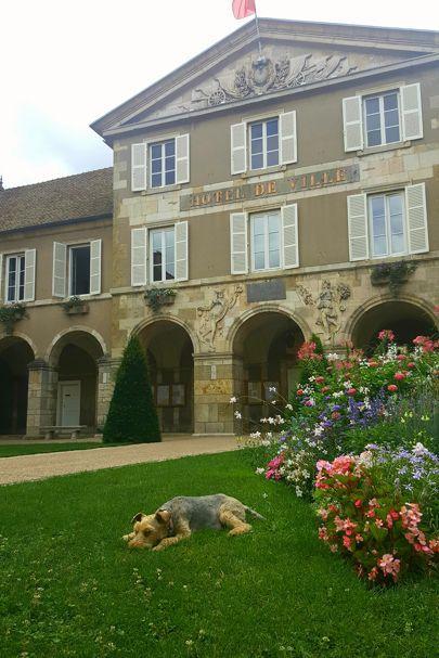 7 J U L 2 0 1 7 WE WERE DOG TIRED IN Château de Moulin le Comte, an 1880s brick-and-stone building with a sweeping staircase, five antique-filled guest rooms, nine resident chihuahuas, and all