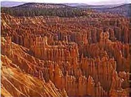 During the week we will be visiting both Zion & Bryce Canyon National Parks as well as Hwy 12 designated as one of the states All American Roads through the Grand Staircase Escalante.