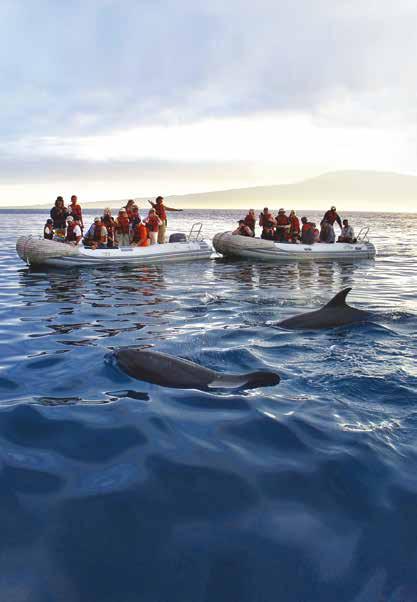 THE AMERICAS Galápagos Wildlife Adventure 10 days from US$8,995 Limited to 18 guests Visiting Guayaquil and the Galápagos Islands Machu Picchu Extension 5 days from US$3,495 A&K ADVANTAGES Cruise for