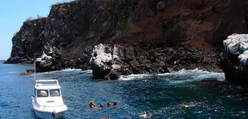 DAY 2 Snorkel the northern coast of San Cristobal A whole day to snorkel amid the underwater wonders of the Galapagos!