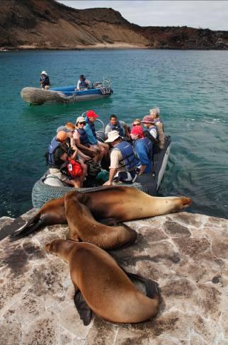 This is one of the few populated islands in the Galapagos and a place with a rich history of mystery and intrigue.