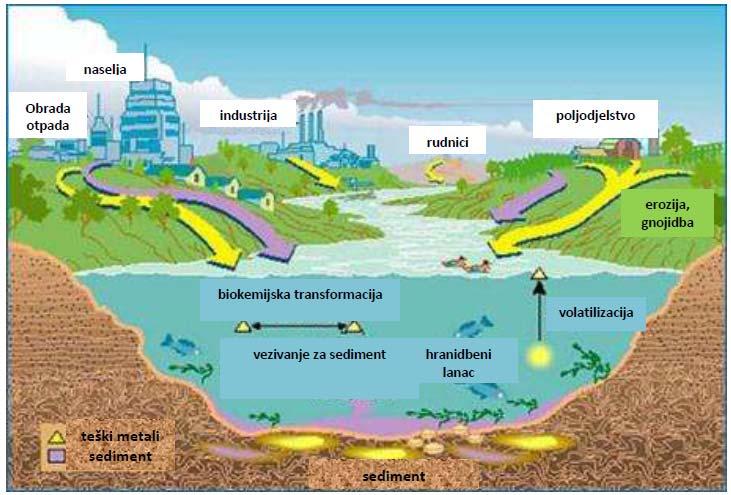 Slika 3. Izvori metala u okolišu 21 Osim atmosferske depozicije, u povećanju količina teških metala u okolišu značajan je i doprinos poljoprivrede.