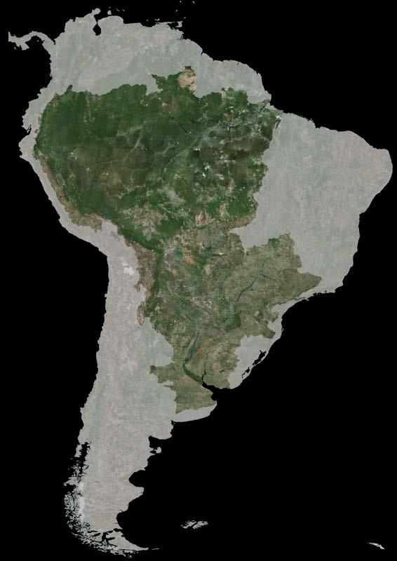 SOUTH AMERICA AMAZON RIVER BASIN DRAINAGE AREA: 7,050,000 km² (~39.51%); LENGTH: 6,992 km.