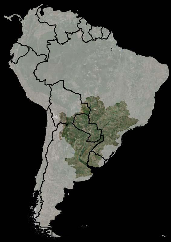 LA PLATA RIVER BASIN DRAINAGE AREA: 3,170,000 km² BRAZIL (45.7%); ARGENTINA (29.7%); PARAGUAY (13.2%); BOLIVIA (6.