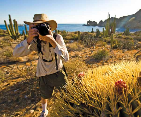 DISCOVER PURE WILDNESS: DESERT ISLANDS AND A LIVING SEA With improbably inviting shorelines and turquoise waters, it s easy to call Baja California and