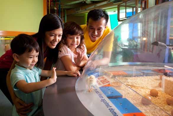 CORPORATE MEMBERSHIP A VALUED STAFF BENEFIT There s more. With a Science Centre corporate membership, enjoy free admission and a host of exclusive privileges!