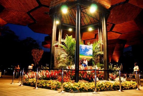 Botanical Garden of Medellin: Located at the north of the city, makes up a refuge for flora and fauna of 14 hectare (34.59 acres).