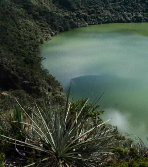 D A Y 3 B O G O T Á L O S G U A T A V I T A S Known as the "Laguna del Cacique de Guatavita", it has witnessed several events of vital importance for the history of the Savannah of Bogota.