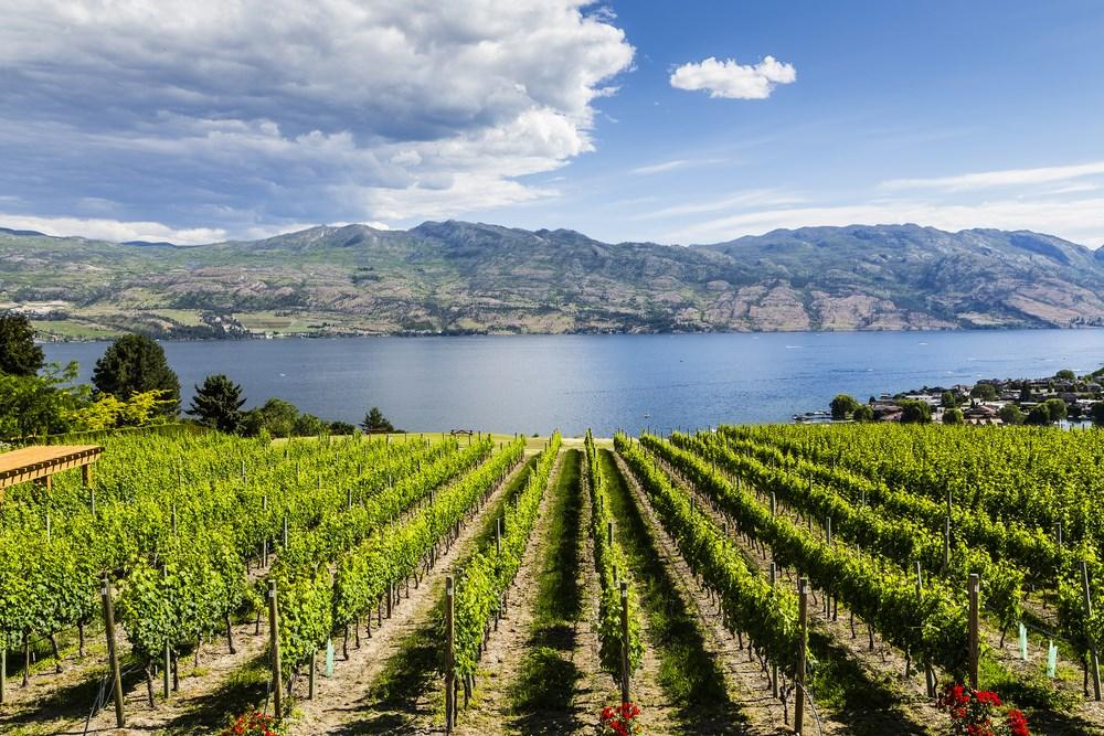 The Okanagan, also known as the Okanagan Valley and sometimes as the Okanagan Country, is a region located in British Columbia, defined by the basin of Okanagan Lake and the Canadian portion of the