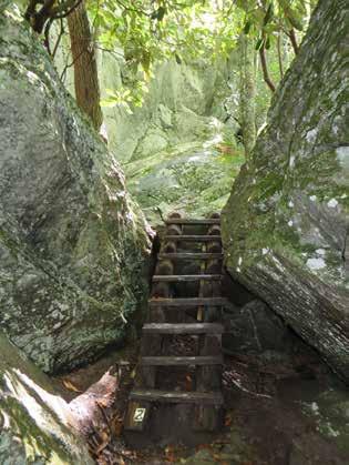 Segment 5 20 Ladder on Boone Fork Trail Photo by Eileen Kelly 24.9 Cross creek by rock hopping. Go right on gravel Old Camp Catawba Rd. You are walking through an area with some residential traffic.