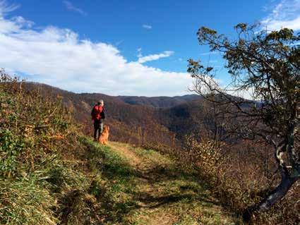 45 Mountains-to-Sea Trail Last Updated 1/1/2017 Bluff Mountain View Overlook Photo by Carolyn Sakowski Bare Creek Rd. again. Turn right and go about 150 feet to intersection with Cherry Hill Rd.