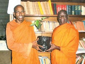 đỉnh Phật giáo. (dailynews.lk December 12, 2013) Thượng tọa Ilukpitiye Pannasekara (bên trái) trao một cây bồ đề linh thiêng cho Tỳ kheo Bodhiraja.