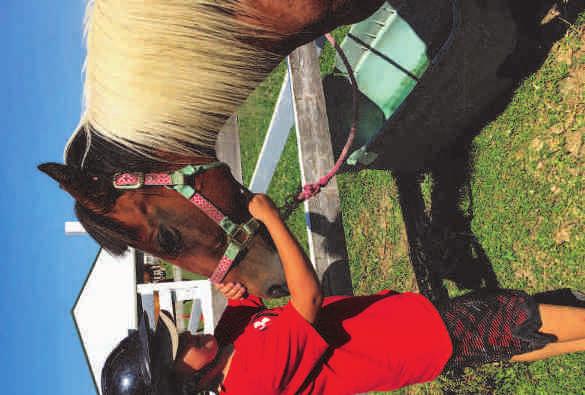 Horse Camps Ages 10-16 Our horse camps provide campers with the opportunity to learn proper horse care and riding.