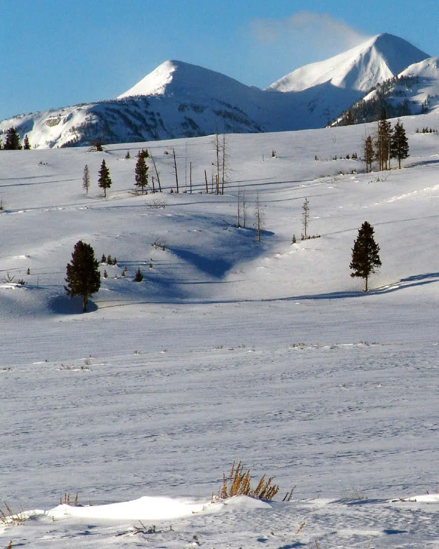 10 Reasons to Visit Yellowstone in Winter Yellowstone is spectacular in winter. Blanketed by snow, the 2.2-million-acre park exudes a mythical beauty.