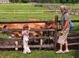 Visitors discover Vermont s historic relationship to the land at places like Billings Farm and Museum, a working dairy farm for guests of all ages, and the Marsh-Billings-Rockefeller National