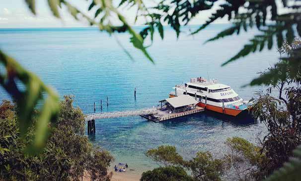 We know Magnetic Island the best and specialise in tours, accommodation, transport and