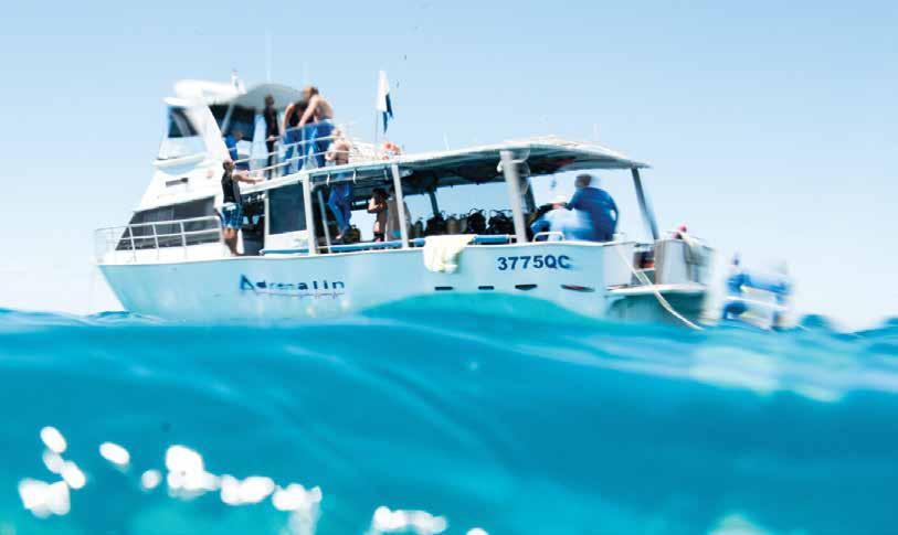 PLEASURE DIVERS Alma Bay, Arcadia PRO DIVE MAGNETIC ISLAND fr $ 199pp Experience the outer reef where you can