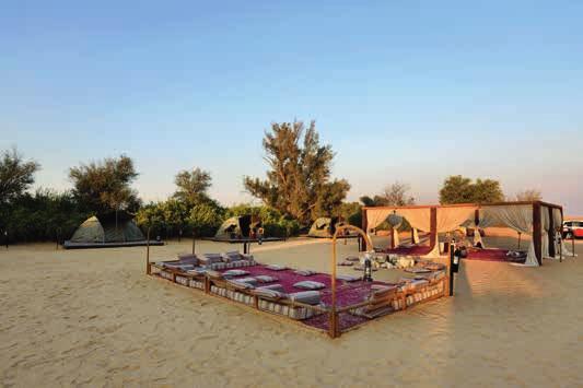 10 U N I T E D A R A B E M I R A T E S / Desert + Dunes Experiences Overnight Safari in Dubai EXPERIENCE Desert + Dunes Sundowner Dune Dinner Safari $160^ EX DUBAI An all inclusive tour for a magical