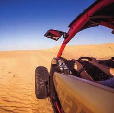 Picked up your hotel, leave the city behind en route enjoying an exciting dune drive with a stop for a falcon viewing (weather permitting).