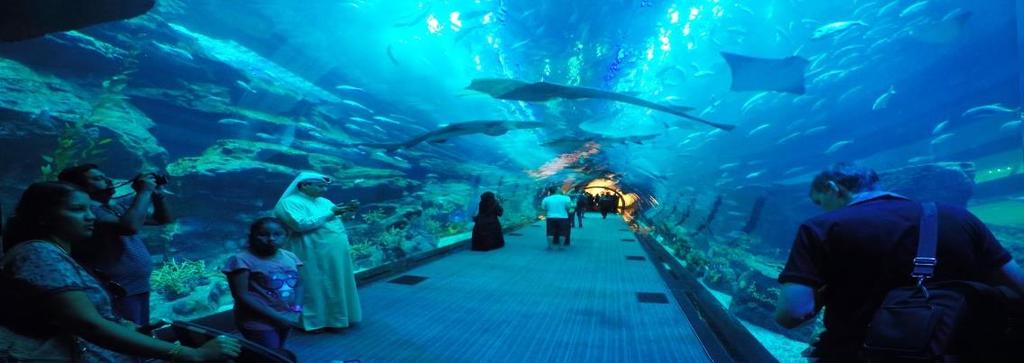 AQUARIUM AND UNDERWATER ZOO Dubai Aquarium, one of the largest tanks in the world at 51m x 20m x 11m and featuring one of the world's largest viewing panel at 32.8m wide and 8.3m high.