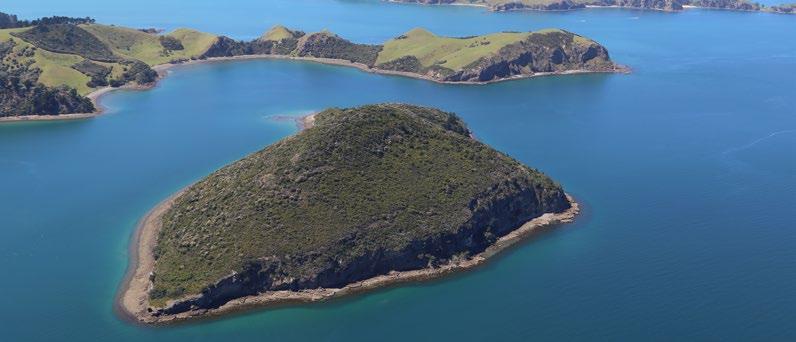 107 Biotic Land cover analysis: The total land area of the Coromandel Harbour Coastal Terrestrial Area is 6,667ha. This includes 510ha of islands.