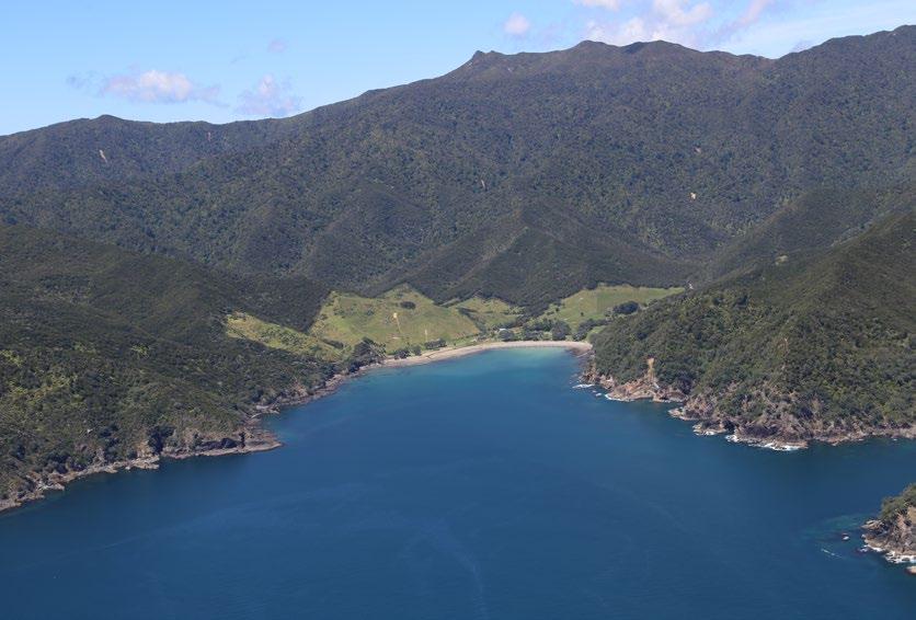 122 Abiotic Above: Stony Bay The Port Jackson Coastal Terrestrial Area includes the steep and very steep foothills of the Moehau Range, rising to 653 metres above sea level on the western coastline.