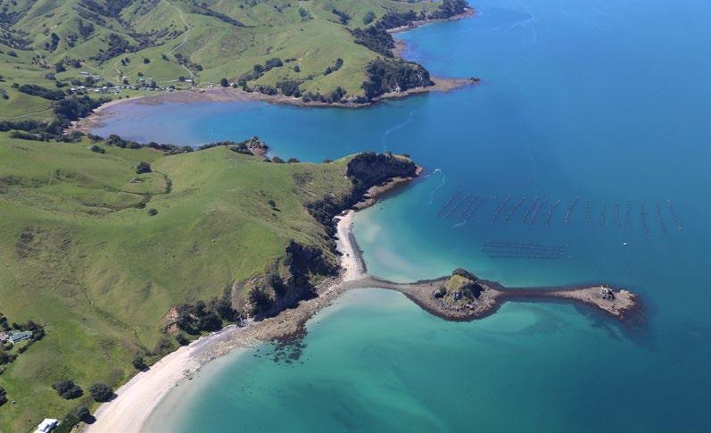 98 Abiotic The Thames Coast Coastal Terrestrial Area includes the steep and very steep hill footslopes of the Coromandel Range to the east, rising to 594 metres above sea level at Te Ipuomoehau which