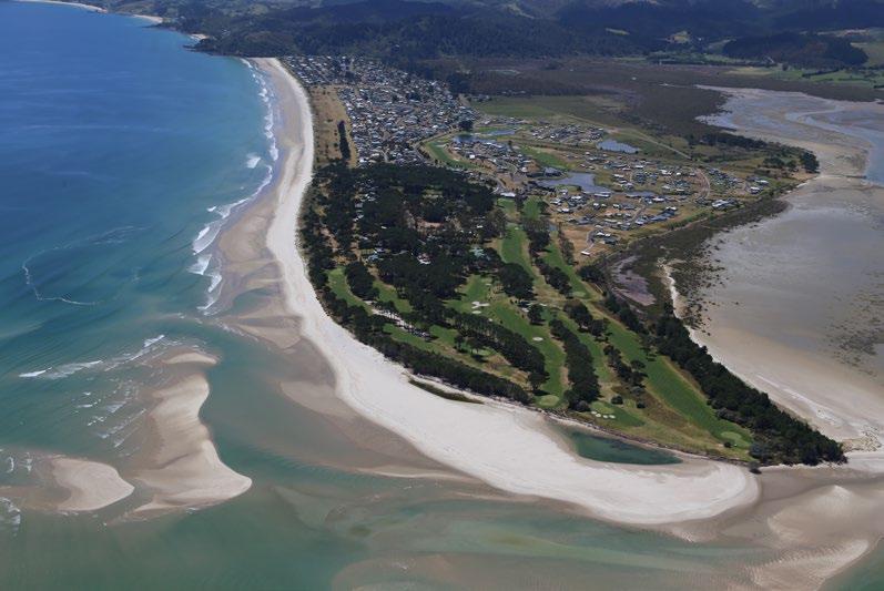 136 Above: Omara Spit Below: Banded kokopu (Photograph: Department of Conservation) Biotic Land cover analysis: The total land area of the Whangapoua Coastal Terrestrial Area is 4,064ha.