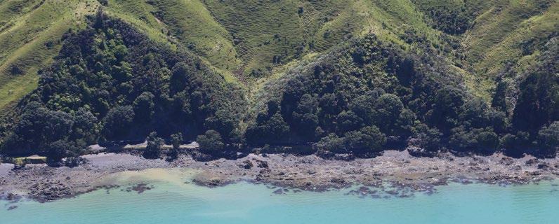 101 Experiential Boat access is gained from Tararu, Ngarimu Bay, Te Puru, Waiomu, Ruamahunga and Waikawau.