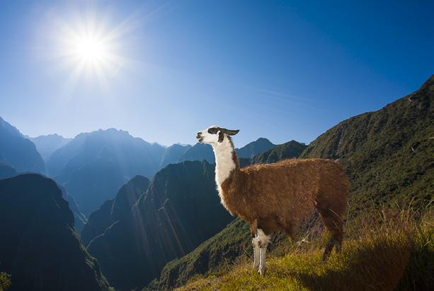 PERU & INCAS PRICE - AU$7,995 Twin Share per person As per itinerary, with local guide/driver and professional photo guides. EVENT DEPOSIT REQUIRED - AU$1,500 pp.