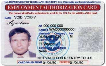 The notation A-12 or C-19 appears on the face of the Employment Authorization Document (Form I-766) under Category.