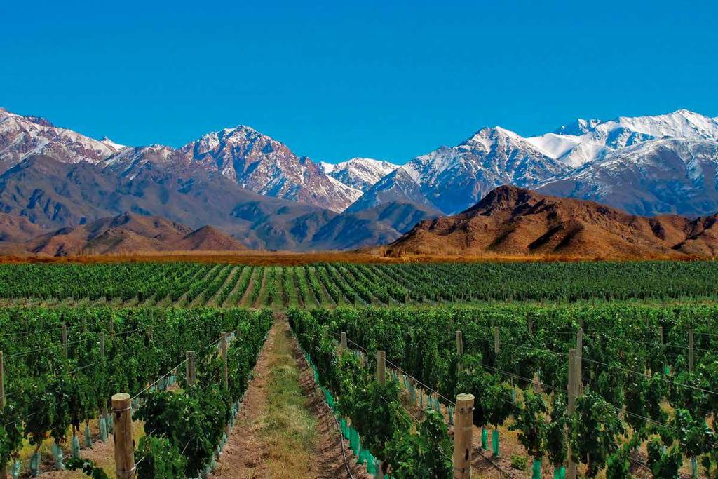 Round trip tickets from Buenos Aires to Mendoza. Visit to the famous Argentinean wineries.