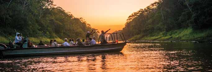 EXPEDITION HIGHLIGHTS» Discover the Amazon wilderness from the comfort of the elegant Delfin II, and enjoy delicious local meals prepared by the onboard chef.» Travel with wildlife biologist Dr.