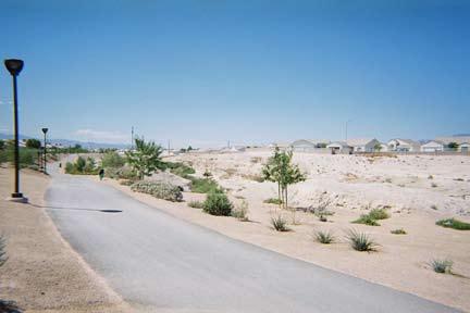 runs parallel to the Lower Las Vegas Wash Detention Basin for approximately a half mile.