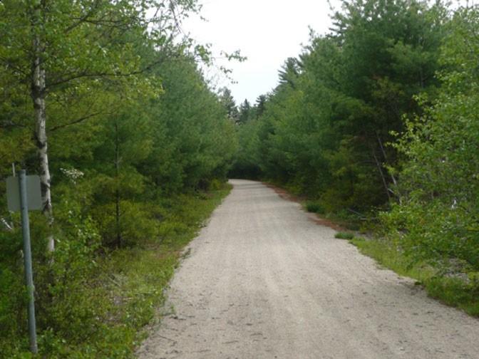 This is a scenic route where you will have a hard time taking your eyes off the Lake. End at the Micmac Rod and Gun Club - you will see the trail end abruptly.