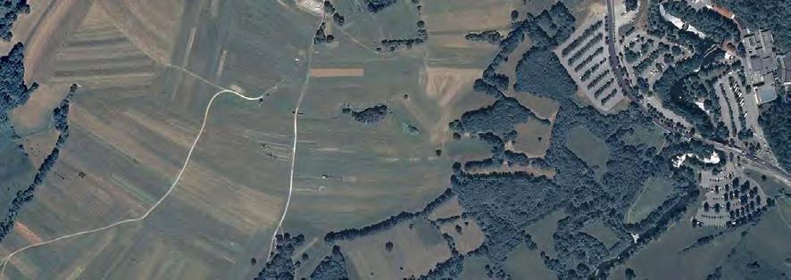 21 Slika 11: Značilna slika drevesnih in grmovnih živic ob reki Pivki s kompleksom Postojnske jame na severovzhodu (kartografska podloga: Kartografsko, 2008) Postojnski jamski sistem je največji v