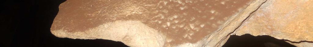 Slika 12: Prašni delci, ki se usedajo vzdolž Postojnskega jamskega sistema Največ prašnih delcev in oblog se nahaja v začetnih