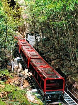 Next we board the Scenic Railway, the steepest railway in the world, for a ride to the top of the Valley.