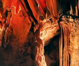 Jenolan Caves $110 adult Code: O32 Departs: Mon, Tue, Thu & Sat 8.00am from The Star, Level B2, Coach Terminal, Pirrama Road Returns: 6.