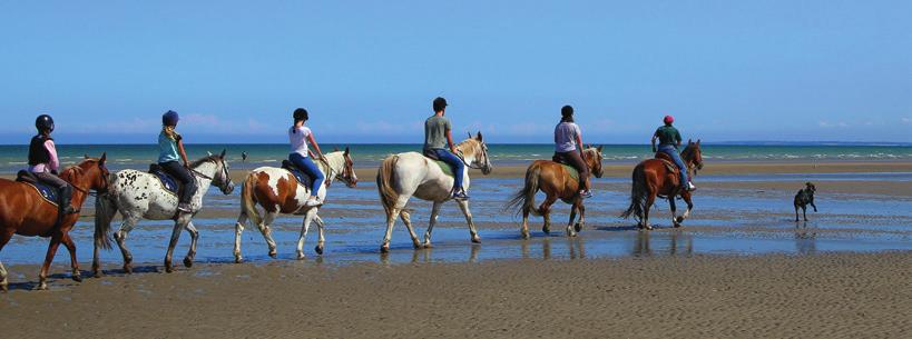 About HORSES HORSE BACK RIDING... In July and August, lets go to Ravenovlle to enjoy a relaxng rde on the beach. (start next to le Cormoran campste).