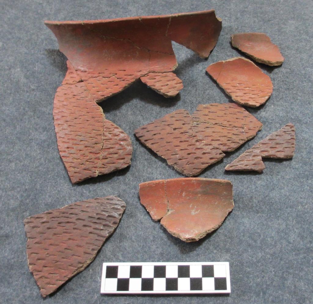 Playas Red ware vessel from the Black Mountain site.
