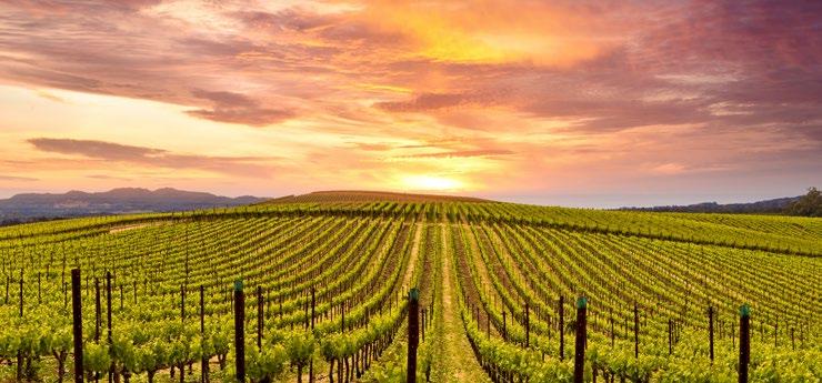 VISITOR DESTINATIONS IN THE U.S. Downtown Napa is a hub of activity, offering a variety of quality dining and lodging options.