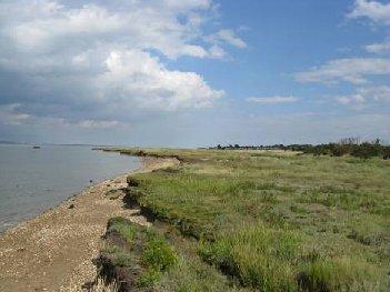 Thames Estuary Path Section 56 Allhallows-on-Sea North Kent Condition of the waterfront Barriers to development Links and Access Key Recommendations Dagnam Saltings, as the name suggests, are