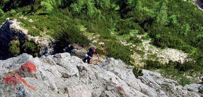 Kepa/Mittagskogel, 2145 m informacije Dostopi Skozi Belco. Dober kilometer iz naselja Belca zavijemo desno na gozdno pot, po njej do sedla Sedlič in nato po zahodnem pobočju do vrha.