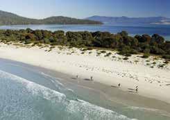 Exploring Tasmania EXTENDED WALKS 4 Day Maria Island Walk HIGHLIGHTS: See natural and historic wonders of Maria Island A Noahs Ark of rare and unusual birds and animals Spectacular beaches and Blue