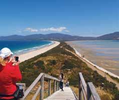 Return ferry to Bruny Island Lighthouse tour Produce tastings Cider Tasting Lunch Maximum 20 passengers Return transfers from Hobart accommodation Operator: Bruny Island Safaris Departs: Daily from