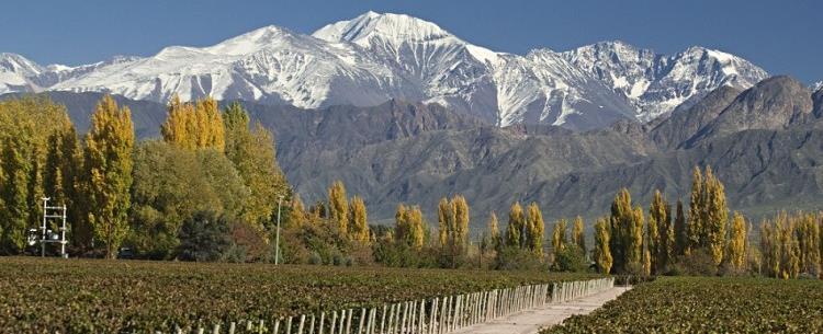 ABOUT MENDOZA The 23rd International Annual Congress of the World Muscle Society will be held in Mendoza, Argentina.