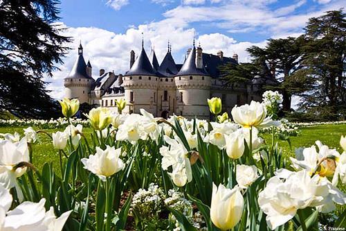Stay Overnight in Blois: Day 2: Blois Chateau de Chaumont Amboise - 42 km Follow small countryside routes to the Chateau of Chaumont overlooking the Loire River.