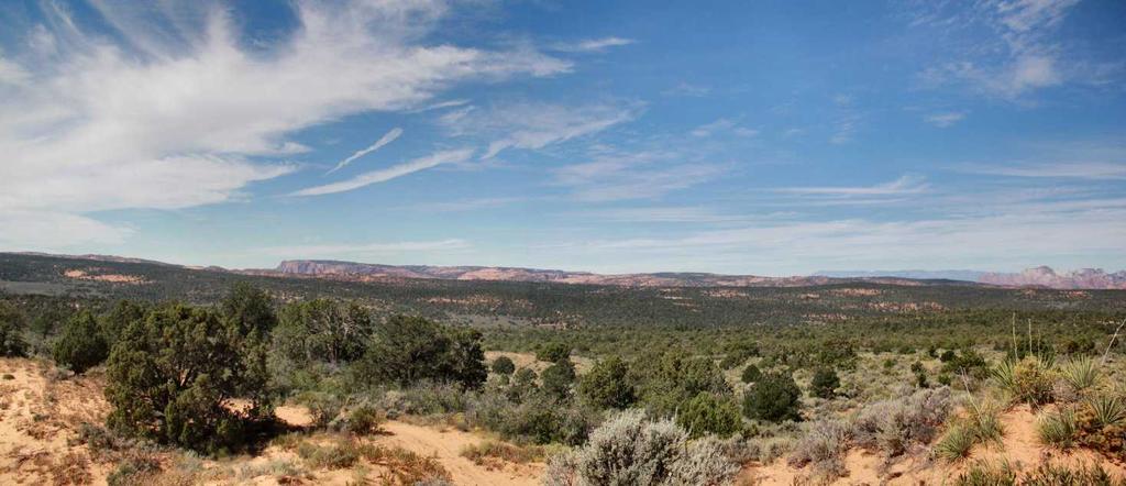 640 Acres of pristine land surrounded by BLM property PURCHASE SUMMARY Priced at $2,500,000 $3,906 per acre includes Water Rights The purchase price for the land parcel represents just over $3,906