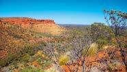 00pm approximately 4WD the rugged Australian outback View red sandstone Amphitheatre Pinnacles and gorges in Palm Valley Travel the bed of the Finke River Oasis of rock pools & palm trees Stop by an